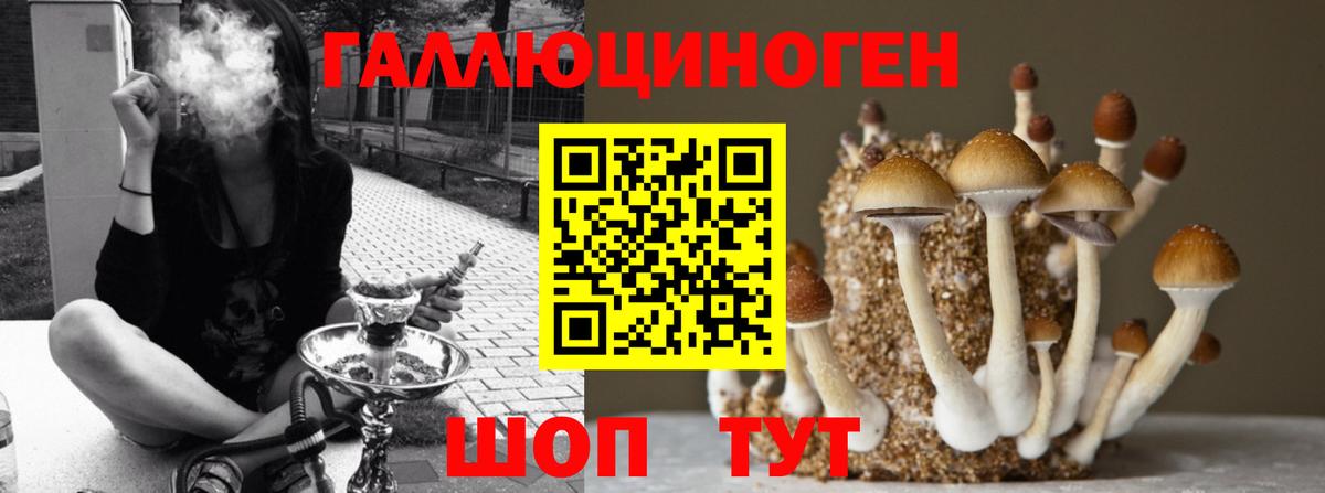ТГК Бирск